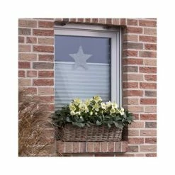 2ft Helleborus 'Ice Breaker® Max' | 4.5L Pot | Helleborus Gold Collection® 9 2ft Helleborus 'Ice Breaker® Max' | 4.5L Pot | Helleborus Gold Collection® -Ornamental Trees Shop PL52011 add image 2 7a98