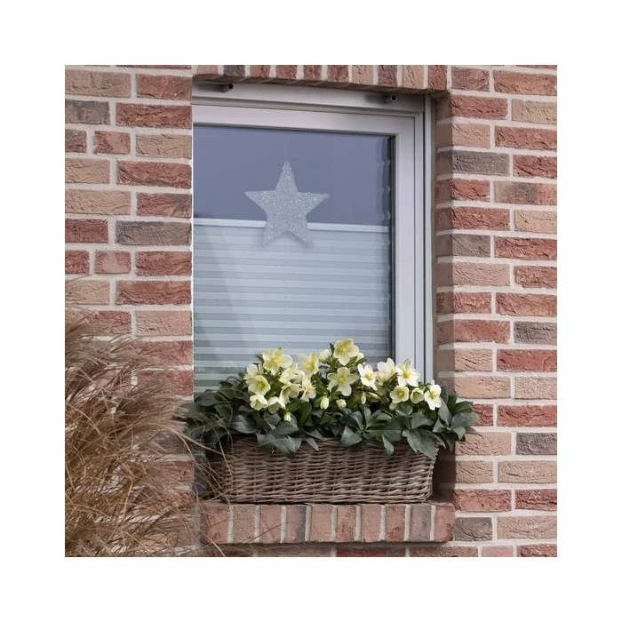 2ft Helleborus 'Ice Breaker® Max' | 4.5L Pot | Helleborus Gold Collection® 6 2ft Helleborus 'Ice Breaker® Max' | 4.5L Pot | Helleborus Gold Collection® - Image 4