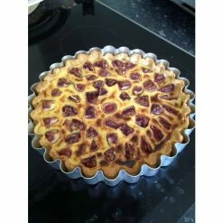 5ft 'Brogiotto Nero' Half Standard Fig Tree | 10L Pot -Ornamental Trees Shop TR0384 add image 5 455b