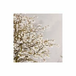 Prunus 'Kojo No Mai' | Cherry Blossom Tree -Ornamental Trees Shop TR0387 add image 2 0bdf