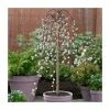 Salix caprea 'Kilmarnock' | Weeping Willow Tree | 12L Pot | 150-180cm | By Frank P Matthews 1 Salix caprea 'Kilmarnock' | Weeping Willow Tree | 12L Pot | 150-180cm | By Frank P Matthews -Ornamental Trees Shop TR1219 main image 3eaf